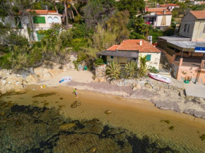 Agave direclty on the beach - Goelba